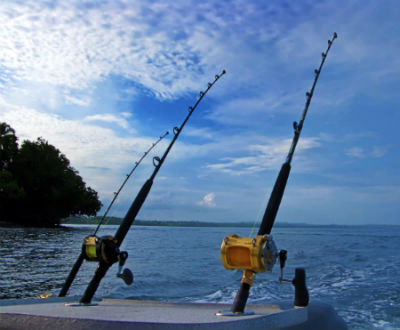 Carretes para pesca en el mar, pesca desde orilla, pesca en ríos y lagos,  pesca de fondo y pesca de troleo