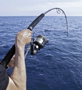 Pesca Jigging: un método revolucionario